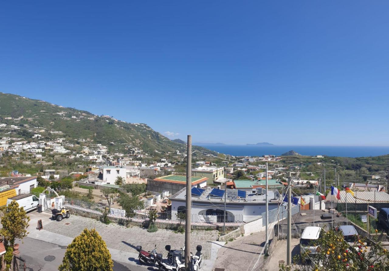 Hotel Mareluna Ischia Forio di Ischia Esterno foto