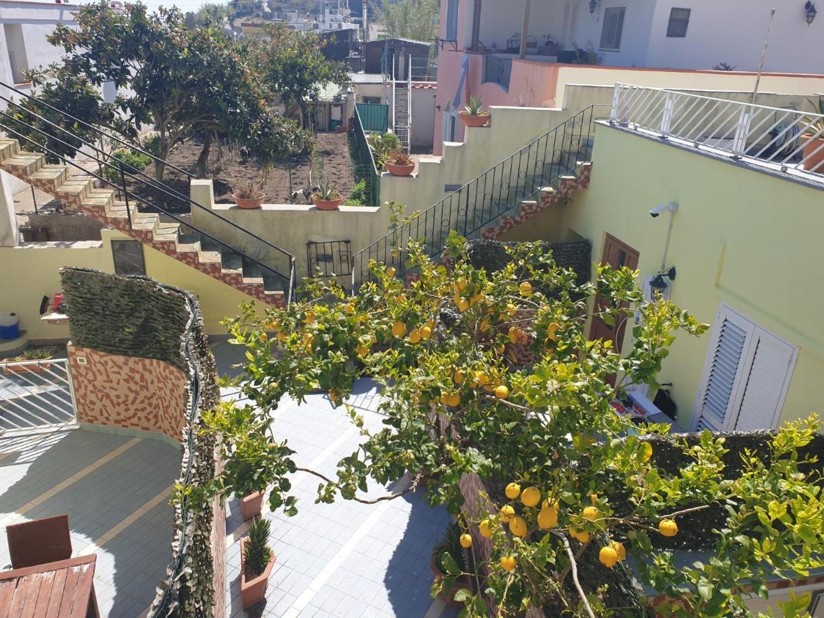 Hotel Mareluna Ischia Forio di Ischia Esterno foto