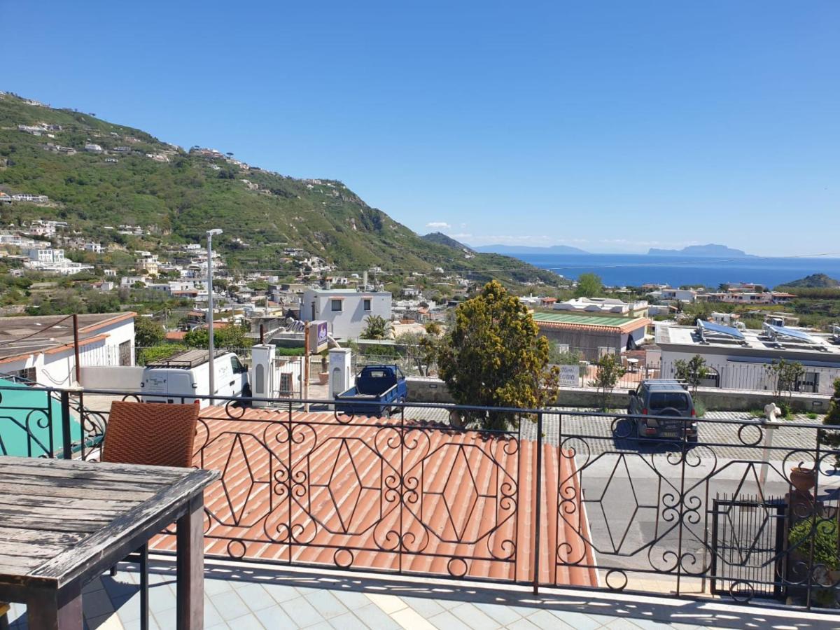 Hotel Mareluna Ischia Forio di Ischia Esterno foto